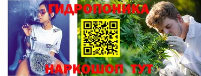 эйфоретик Донской
