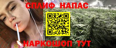 эйфоретик Донской